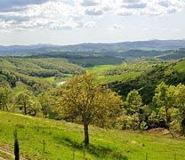 Bildergebnis für Mocine chiusure Toscana