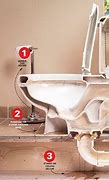 Image result for How to Fix a Dripping Toilet