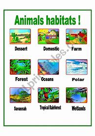 Image result for Animal Habitats Printables
