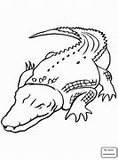 Image result for Crocodile Side View