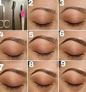 Image result for Correct Eyebrow Shape