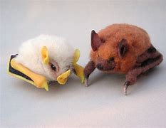 Image result for White Fur Bats
