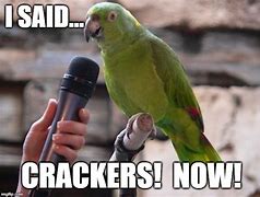 Image result for Parrot Cracker Meme
