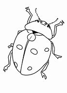 Image result for Little Be Bugs Screen