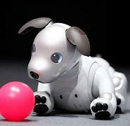 Image result for Sony Aibo New $20.24