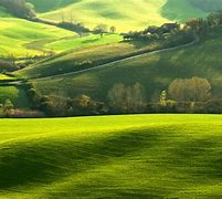 Image result for Green Nature Wallpaper