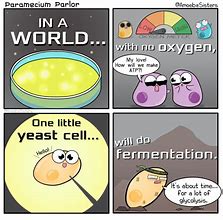 Image result for Biology Teacher Jokes