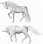 Image result for Magical Unicorn PNG