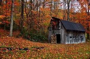 Image result for Fall Farm Barn Wallpaper