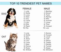 Image result for Dog Petting Chart