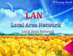 Image result for Local Area Network Diagram with Explanation