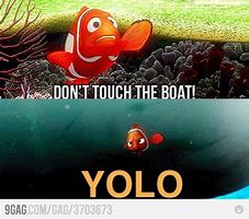 Image result for Nemo Yolo Meme