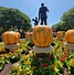 Image result for Disney Halloween Pumpkin