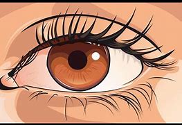 Image result for Eye Drawing Vector
