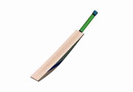 Image result for Cricket Bat Realistic Image