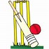Image result for Cricket Bat Ball Cartoon