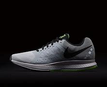 Image result for Nike Pegasus Running Shoes Men