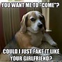 Image result for Lazy Funny Pics