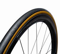 Image result for Giant Tough Road Tan Wall Tires