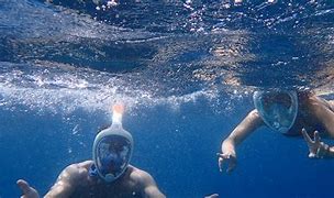 Image result for Snorkeling