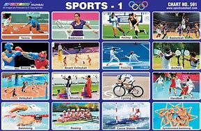 Image result for Different Sports Chart