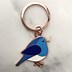 Image result for Color Key Rings