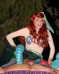 Image result for Ariel Disneyland Flickr