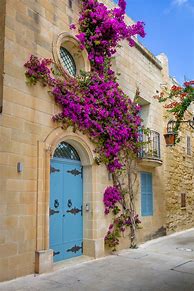 Image result for Malta Pics