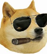Image result for Dog Glasses Meme