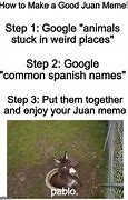 Image result for The Juan Animal Meme
