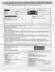 Image result for US Visas Declaration Examples
