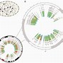 Image result for 4C and 5C Chromatin