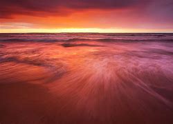 Image result for red tide pictures