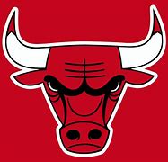 Image result for Chicago Bulls Basketball