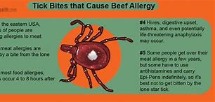 Image result for Mold Allergies Symptoms