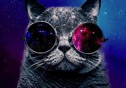 Image result for Cool Space Cat Wallpapers