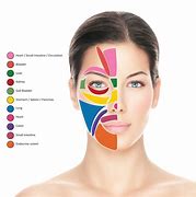 Image result for Face Mapping Diagram