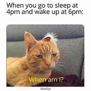 Image result for Wake Up Early Meme