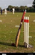 Image result for Cricket Bat and Ball and Stumps Action Pic