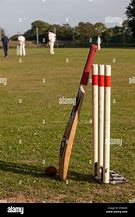 Image result for Cricket Bat and Wickets