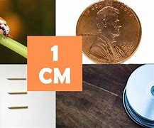 Image result for Things About a Centimeter Long