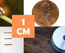 Image result for Things That Are 1 Centimeter