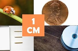 Image result for 1 Cm Long Items