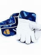 Image result for MS Dhoni Wicket Keeping Gloves