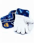 Image result for Dhoni Wicket Keeping Gloves