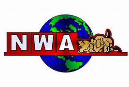 Image result for National Wrestling Federation Logo
