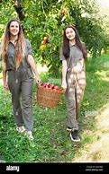 Image result for Picking Fruits Teenagers