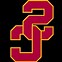 Image result for University of Arizona Football Logo