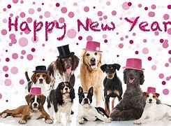 Image result for Happy New Year Black Dogs