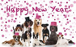 Image result for New Year Funny Background Images